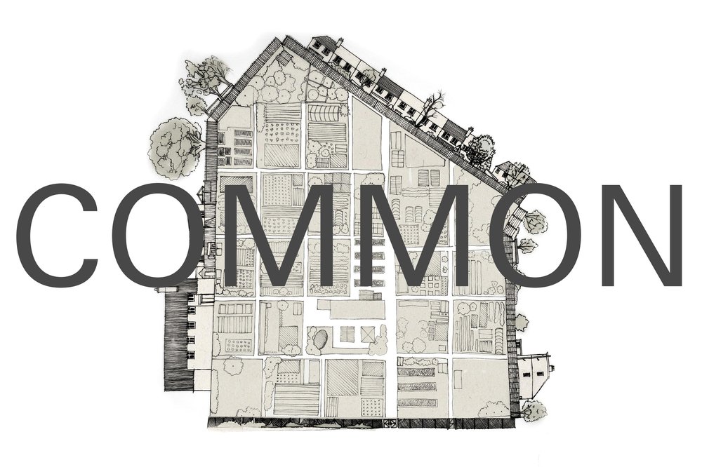 0_Helaena-Blanch_Horticulture-Hub_Allotment-Plan.jpg