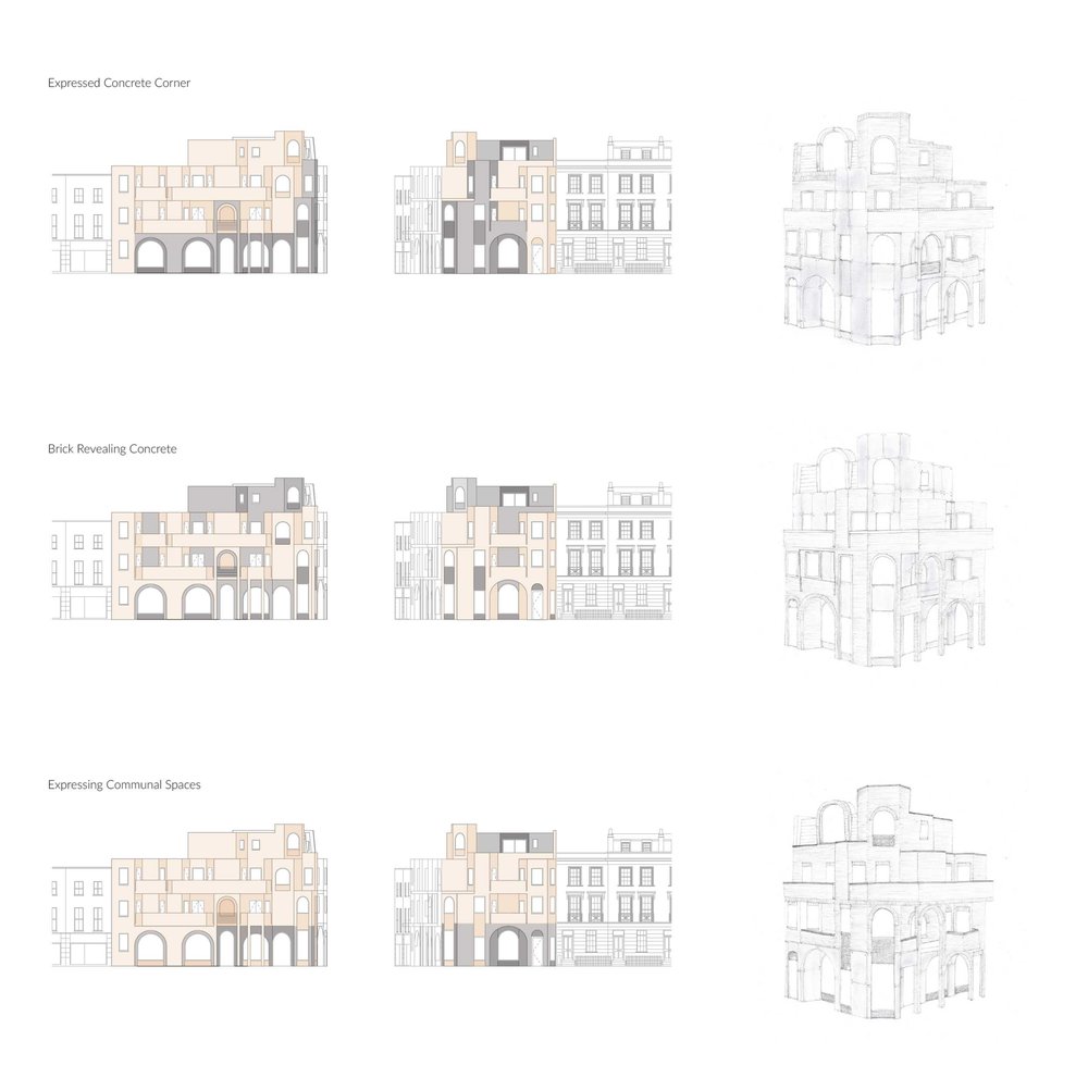 Annika Francis_House_Elevation Studies 1_100