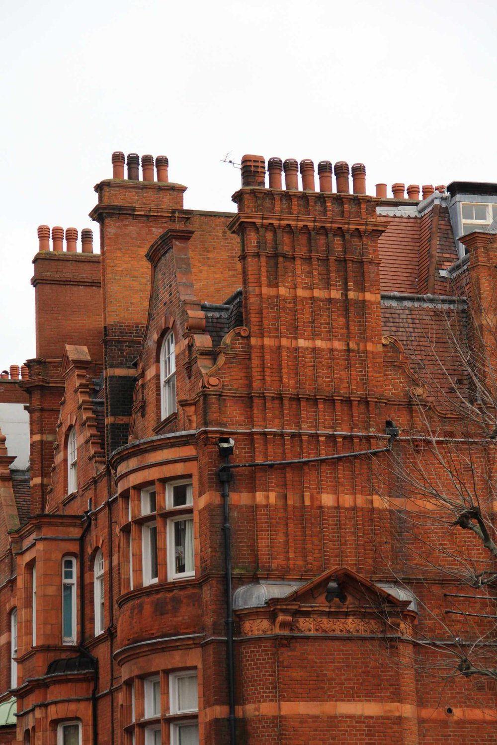 Annika Francis_House_Rooftops.jpg