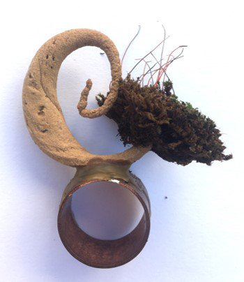 Sadie Lawton, 3D Ring Sketch, Colonialism Brief.jpg