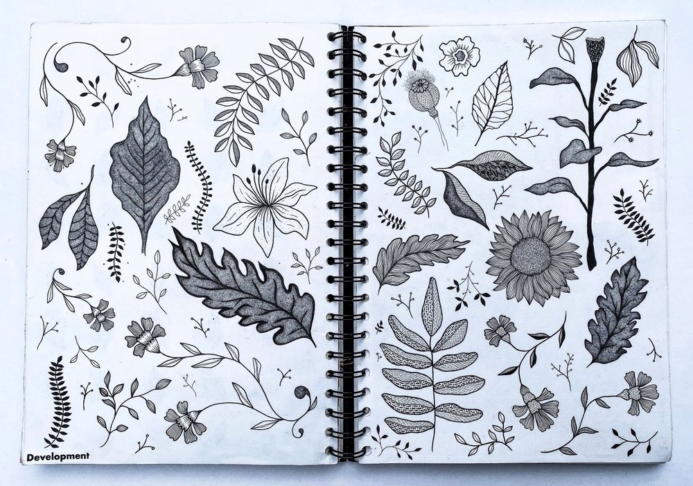 Suenera Rahman_Finding Stories_Flower Development_ (1).jpg